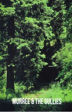 Murree &amp; The Gullies